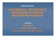 MATERIALE SILICONICE NANOSTRUCTURATE Cazacu/Web_NANOSIMAT_rom_2009.pdf · PDF fileUniversitatea Tehnica ... Dezvoltareaactivitatii de cercetareintr-un domeniu ... elementelor ştiinţifice