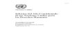 Informe del Alto Comisionado de las Naciones Unidas para ... · PDF fileInforme del Alto Comisionado de las Naciones Unidas para los Derechos Humanos Asamblea General Documentos Oficiales