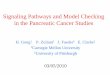 Signaling Pathways and Model Checking in the Pancreatic ...cmacs.cs.cmu.edu/presentations/nsf_march10/gong/Gong-March.pdf · in the Pancreatic Cancer Studies ... promote apoptosis