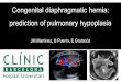 Congenital diaphragmatic hernia: prediction of · PDF fileCongenital diaphragmatic hernia (CDH) 1. Defect pleuroperitoneal membrane 8-12 wk – Secondary pulmonary hypoplasia 2. Primary