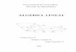 ALGEBRA LINEAL -   · PDF fileAgradecemos a los colegas de la c´atedra de algebra lineal sus ... 3.4 Regla de Cramer ... enfatizamos en la lectura de la informaci´on que
