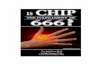 IS CHIP THE FULFILLMENT OF 666 - End Timesendtimestrumpet.com/IS-IT-TRUE-THAT-CHIP-IS-THE-FULFILMENT-OF … · IS CHIP THE FULFILLMENT OF 666 ? All Scripture quotations are taken