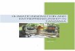 CLIMATE INNOVATION AND ENTREPRENEURSHIP IN · PDF file3 x A poor business enabling and regulatory environment To build an environment which will accelerate climate innovation and entrepreneurship
