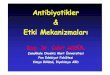 Antibiyotikler Etki Mekanizmaları - Ana Sayfamaycalistaylari.comu.edu.tr/kimya2/sunumlar/danisman/Cahit_Akgul... · –Siprofloksasin –DNA Giraz inhibisyonu –İdrar yolu enfeksiyonlar