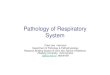 Pathology of Respiratory System - Zhejiang Universityjpck.zju.edu.cn/jcyxjp/files/ge/04/PPT/044.pdf · Pathology of Respiratory System Chen Jian Instructor Department of Pathology