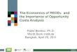 The Economics of REDD+ and the Importance of · PDF fileREDD+ The Economics of REDD+ and the Importance of Opportunity Costs Analysis Pablo Benitez, Ph.D. World Bank Institute Bangkok,
