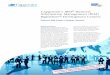 Capgemini´s IBM Business Information Management (BIM ... · PDF fileThe solution is a custom software development in Java, combined with the IBM Datastage and Reporting packages