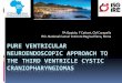 PURE VENTRICULAR NEUROENDOSCOPIC …neuroendoscopy2017.com/wp-content/uploads/2017/11/Prashanth... · In presence of hydrocepalus microsurgical or endoscopic removal of these lesions