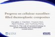 Progress on cellulose nanofiber - filled thermoplastic ...swst.org/meetings/AM10/ppts/Gardner.pdf · Progress on cellulose nanofiber - filled thermoplastic composites Douglas J. Gardner,
