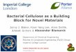Bacterial Cellulose as a Building Block for Novel · PDF fileOutline A route to truly green (nano)composites •Why green(er) materials? •Challenges/problems with renewable •Bacterial