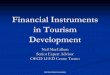 Financial Instruments in Tourism Development - · PDF filesocial capital a critical mass ... passionate networks ... financial instruments within tourism strategies? What would success