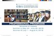 PROFESSIONAL PROGRAMS - نقابة المهندسينeea.org.eg/UploadedFiles/AUC 1.pdf · • Project Management (PRMG) - Online 19 Professional Programs (Arabic ... • Project