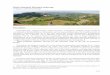 Roşia Montană Mining Landscape - simpara.ro tentativa Rosia Montana_EN.pdf · 1/15 Roşia Montană Mining Landscape Category: cultural landscape Description Roşia Montană –
