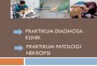 Praktikum Patologi Nekropsi - · PDF fileJadwal Praktikum HARI JAM SEMESTER 7 A B SENIN 07.30-12.05 13.00-16.20 PATSIS NEKROPSI DIAGKLIK SELASA 07.30-12.05 ... Wajib membuat Laporan