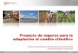 Proyecto de seguros para la adaptación al cambio climáticointerclima.minam.gob.pe/IMG/pdf/Mesa_03_-_Philine_Oft_ACC_BM_-_… · de la zona costera en el norte del Perú . ... Seguros