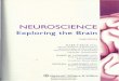 NEUROSCIENCE - Wesleyan Universitysdevoto.web.wesleyan.edu/343/readings/BearConnorsParadiso.pdf · NEUROSCIENCE Exploring the Brain THIRD EDITION MARK F. BEAR, Ph.D. Picower Professor