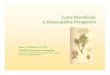 Lyme Borreliosis: A Homeopathic Per · PDF fileLyme Borreliosis: A Homeopathic Perspective Anne C. Hermans, D.V .M. Certified V eterinary Homeopath Academy of Veterinary Homeopathy