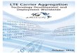 4G Americas LTE Carrier Aggregation October 2014 1 Americas LTE Carrier Aggregation October ... 4G Americas LTE Carrier Aggregation October 2014 ... carrier transmission due to limited