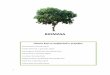 BIOMASA - ipaq.eg drva paulovnija (tablica 1.). Sakupljanje ostataka od proizvodnje biljnih