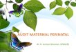AUDIT MATERNAL PERINATAL - Universitas Hasanuddinmed.unhas.ac.id/obgin/wp-content/uploads/2016/08/amp-sebagai-inst... · • Kementerian Kesehatan (2012): program Expanding Maternal