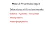 Modul Pharmakologie -  · PDF fileModul Pharmakologie Behandlung mit Psychopharmaka Sedativa / Hypnotika / Tranquilizer Antidepressiva Phasenprophylaktika