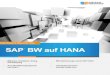 SAP BW auf HANA -    DER UMSTELLUNG AUF HANA 36 Blog: Wie man ein BW-System nicht sized