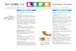 The Game of LIFE - Hasbro - Hasbro Official · PDF file2 to 6 Players l OBJECT: Collect money and LIFE Tiles, and have the highest dollar amount at the end of the game. Attach the