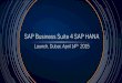SAP Business Suite 4 SAP HANA - · PDF fileSAP HANA SAP Business Suite powered by ... the SAP HANA Platform Basedon analytics with SAP HANA Live Material Resource Planning on HANA