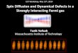 ECT Workshop, May 13 Spin Diffusion and Dynamical Defects ... · PDF fileSpin Diffusion and Dynamical Defects in a Strongly interacting Fermi gas ... White dwarf Superfluid Helium