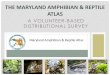 THE MARYLAND AMPHIBIAN & REPTILE ATLAS Atlas v2.pdf · A VOLUNTEER-BASED DISTRIBUTIONAL SURVEY THE MARYLAND AMPHIBIAN & REPTILE ATLAS Maryland Amphibian & Reptile Atlas