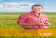 Programi zaštite u ratarstvu - agro.basf.hr · PDF file5 Program zaštite kukuruza PROGRAMI ZAŠTITE U RATARSTVU Program zaštite kukuruza Zaštita kukuruza od korova Kukuruz (Zea