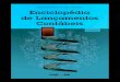 Enciclopédia de -  · PDF fileApresentAção O livro “Enciclopédia de Lançamentos Contábeis” demonstra de maneira simples e objetiva a forma de contabilização dos fatos