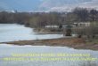 “MANAGEMENT PENTRU ARIILE NATURALE -  · PDF file“management pentru ariile naturale protejate –lacul pingarati si lacul vaduri“