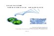 DIAGNOSTIK MIKROBIOLOGI MOLEKULER - …pustaka.unpad.ac.id/wp-content/uploads/2015/09/Buku-diagnostik... · pesat adalah tentang Biologi Molekuler sehingga berbagai teori molekuler