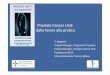 Prostate Cancer Unit: dalla teoria alla pratica · PDF fileProstate Cancer Unit: dalla teoria alla pratica T. Magnani Project Manager, Programma Prostata Project Manager, Prostate