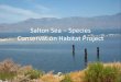 Salton Sea – Species Conservation Habitat Project · PDF fileGoal 1: Develop a range of aquatic habitats that will support fish and wildlife species dependent on the Salton Sea 