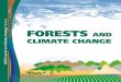 work on climate change FORESTS CLIMATE CHANGE · PDF fileIndicators of progress towards Sustainable Forest Management Forest and land area Change in carbon in forest biomass Forest