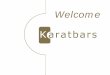 Welcome [dev.karatgroupsite.com]dev.karatgroupsite.com/wp-content/uploads/2015/07/Presentation_en.pdf · Karatbars International GmbH • Founded: December 2011 • International