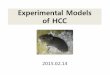 Experimental Models of HCC - klcsg.or.krklcsg.or.kr/pdf/conference_9/01.pdf · Chemical Carcinogenesis Chemical Time to deveop tumor % of mice with HCC Metastasis Remarks DEN 45-104