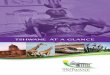 TSHWANE AT A  · PDF file2 | City of Tshwane TSHWANE AT A GLANCE From the moment you enter the City of Tshwane, you will realize this progressive city, whose charm lies in its