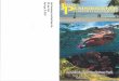 Download brochure - Pennekamp Park - John Pennenkamp …pennekamppark.com/pdf/Pennekamp-Brochure.pdf · he first undersea park in the United States, John Pennekamp Coral Reef State