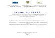 Studiu de piata - islavici.roislavici.ro/spin-off/Studiu de piata.pdf · Axa prioritară 2: Competitivitate prin Cercetare, Dezvoltare Tehnologică 