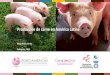 Producción de carne en América Latina - Inicio · PDF fileExpectativas de crecimiento de la población mundial Año Rod Simth, 2011 ... Guatemala, Nicaragua