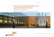 Securitisation in Luxembourg - PwC · PDF file1.3.4 Financial fixed assets 14 ... 2.3.1 of our publication “Securitisation in Luxembourg ... If other assets like intangible or tangible