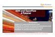 SDN Openflow tutorial 1 - Rice and OpenFlow A Tutorial IP Infusion Proprietary and Confidential, released under Customer NDA , ... Part II - OpenFlow â€¢Introduction â€¢OpenFlow
