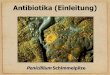 Antibiotika (Einleitung) - PTE ÁOKaok.pte.hu/docs/dsg/studium/chemie/Antibiotikaeinleitung.pdf · Grundlagen I Definition Antibiotika sind natürliche Stoffwechselprodukte von Pilzen