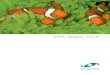Learn, Imagine, Create - Two Little Fishies Splash · PDF fileJulian Sprung’s SeaVeggies® Mixed Seaweed Flakes (Porphyra, Palmaria, and Ulvaspp.) Chopped seaweeds, harvested and