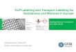 CLP Labelling and Transport Labelling for Substances and ... · PDF fileEnabling Chemical Compliance for A Safer World CLP Labelling and Transport Labelling for Substances and Mixtures