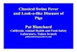Classical Swine Fever and Look-a-like Diseases of Pigs · PDF fileWhere to submit? • Serology can be submitted to CAHFS labs in Davis, Fresno, Tulare and San Bernardino • Pigs