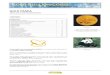 BC 7 Gold Panda Bullion Coins 9Aug ... - Gold Bars · PDF file3 Gold Panda General For 30 years, between 1948 – 1978, China had not minted or issued any previous metal coins or medals
